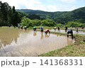 棚田の田植え 141368331