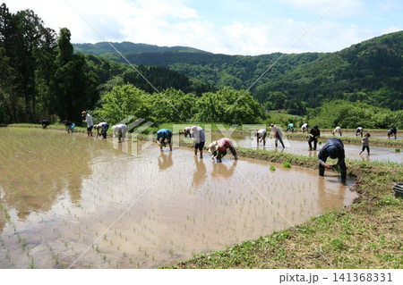 棚田の田植え 棚田の田植え 141368331