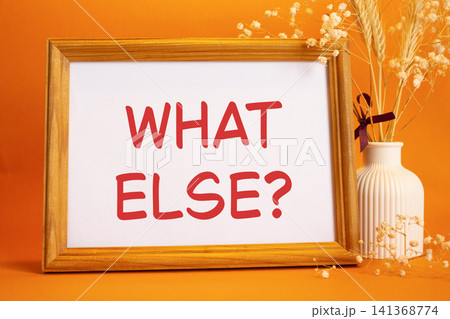What else symbol. Concept words What else on beautiful wooden picture frame. Beautiful orange background with flower vase. Business and What else concept. Copy space. 141368774