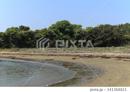 野々島にある宇内浜の砂浜と波打ち際の風景(宮城県塩竈市・浦戸諸島) 野々島にある宇内浜の砂浜と波打ち際の風景(宮城県塩竈市・浦戸諸島) 141368821