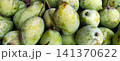 A full background featuring a pile of unripe green mangoes. 141370622
