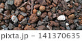 A close-up view of laterite gravel, assorted small pebbles, and dry bark fragments. 141370635