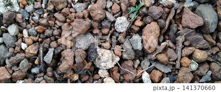 A mixture of gravel and laterite, topped with a layer of soil. A mixture of gravel and laterite, topped with a layer of soil. 141370660