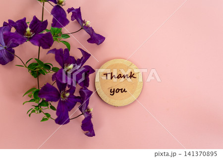Blooming violet clematis flowers on elegant pink background composition Blooming violet clematis flowers on elegant pink background composition 141370895