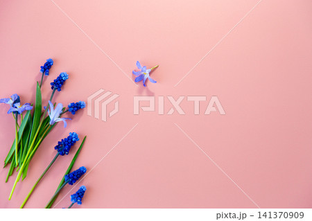 fresh spring flowers composition with vibrant colors and copy space fresh spring flowers composition with vibrant colors and copy space 141370909