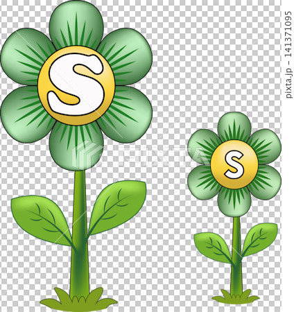 Green clover flower alphabet letter S kids literacy chart element for school textbook 141371095