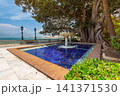 Historic fountain and banyan tree on the seafront in Cadiz, Andalusia, Spain 141371530