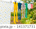 Washed, brightly colored baby tights drying on an outdoor clothesline. Washed, brightly colored baby tights drying on an outdoor clothesline. 141371731
