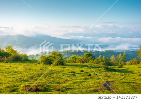 carpathian mountain landscape on a foggy morning. outdoor adventure image for stunning view of meadow in morning light. mountain field and rolling countryside valley carpathian mountain landscape on a foggy morning. outdoor adventure image for stunning view of meadow in morning light. mountain field and rolling countryside valley 141371877