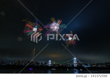 夏の夜空を彩る花火 141372500