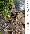 谷川岳登山道の鎖場 141373654