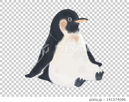 A penguin sitting and relaxing. A penguin sitting and relaxing. 141374096