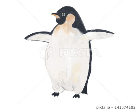 翼を広げてる皇帝ペンギン 翼を広げてる皇帝ペンギン 141374182