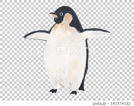 Emperor penguin with wings spread Emperor penguin with wings spread 141374182