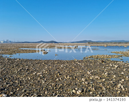 It is a sea with mudflats. It is a sea with mudflats. 141374193