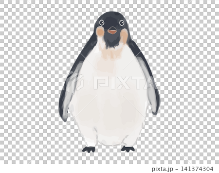 一隻企鵝面向前方站立 一隻企鵝面向前方站立 141374304