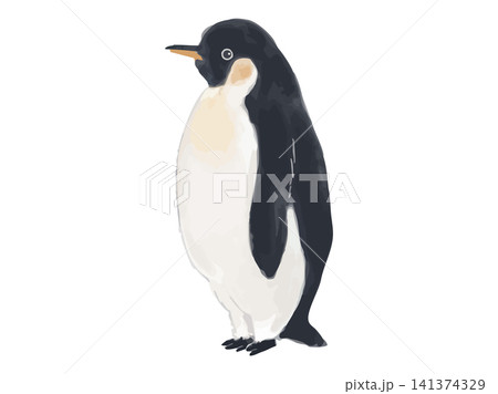立っているペンギン（横）のイラスト 141374329