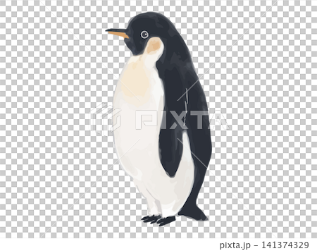 立っているペンギン（横）のイラスト 141374329