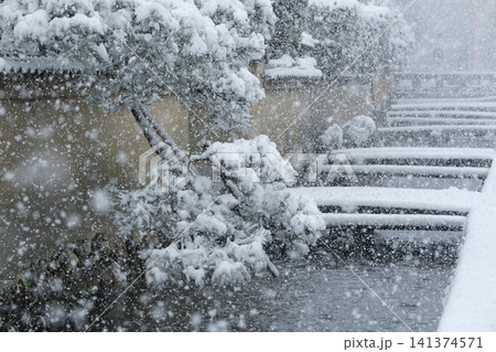 雪の京都社家の風景 雪の京都社家の風景 141374571