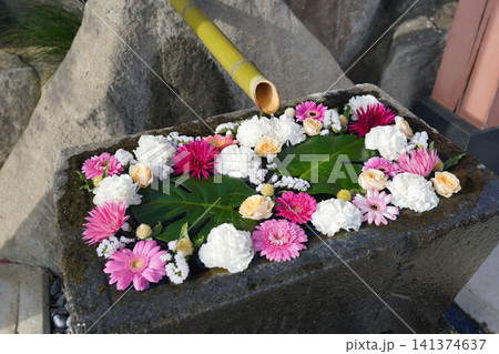 水面に浮かぶ色鮮やかな花手水と竹筒 水面に浮かぶ色鮮やかな花手水と竹筒 141374637