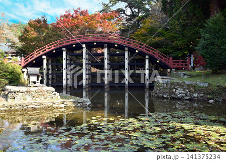秋の丹生都比売神社 太鼓橋 秋の丹生都比売神社 太鼓橋 141375234