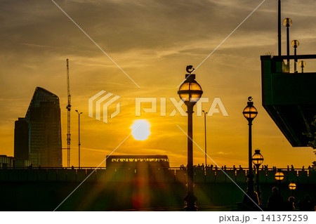 ロンドンバスの夕景 ロンドンバスの夕景 141375259