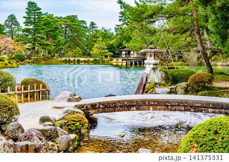 金沢 兼六園 桜の花びらが浮かぶ霞ヶ池 金沢 兼六園 桜の花びらが浮かぶ霞ヶ池 141375331