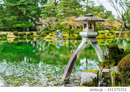 金沢 兼六園　桜の花びらが浮かぶ霞ヶ池 141375352