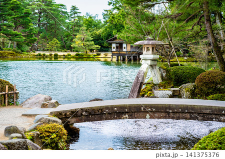 金沢 兼六園 桜の花びらが浮かぶ霞ヶ池 金沢 兼六園 桜の花びらが浮かぶ霞ヶ池 141375376