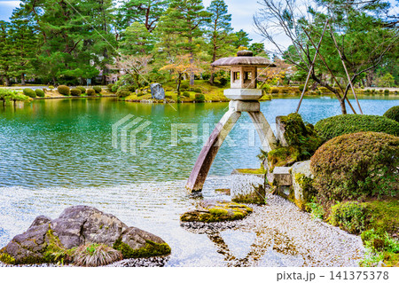 金沢 兼六園 桜の花びらが浮かぶ霞ヶ池 金沢 兼六園 桜の花びらが浮かぶ霞ヶ池 141375378