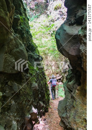 岩櫃山、一本槍（縦） 141375587
