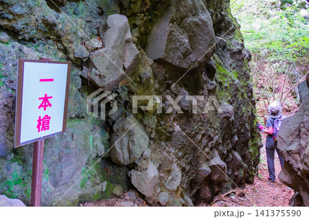 岩櫃山、一本槍 141375590