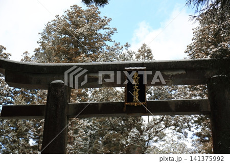 日光東照宮(鳥居) 日光東照宮(鳥居) 141375992