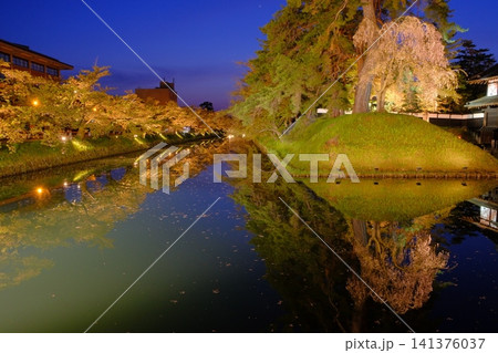 弘前城追手門の夜桜と堀のライトアップ風景 弘前城追手門の夜桜と堀のライトアップ風景 141376037