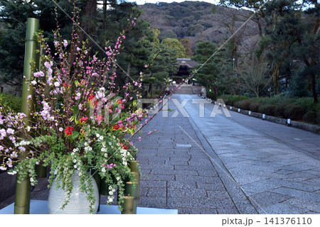 春の花で飾られた東大谷参道 春の花で飾られた東大谷参道 141376110