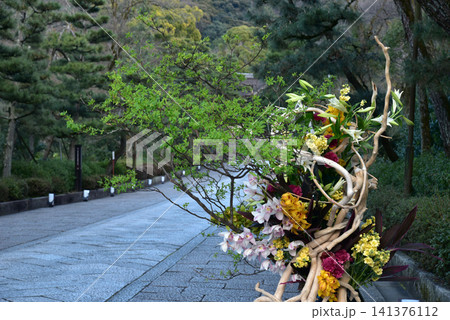 春の花で飾られた東大谷参道 春の花で飾られた東大谷参道 141376112
