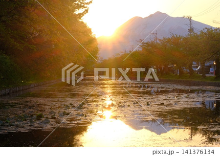 弘前城西濠と岩木山の夕景 弘前城西濠と岩木山の夕景 141376134