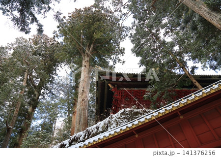 上新道からの風景（日光） 141376256