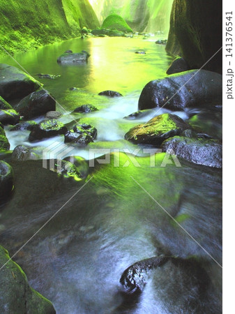 夏の由布川渓谷(由布市・縦構図) 夏の由布川渓谷(由布市・縦構図) 141376541