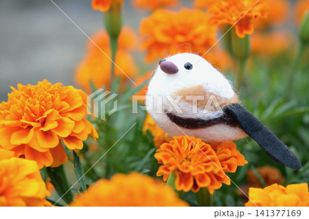 お花畑にいるシマエナガ お花畑にいるシマエナガ 141377169
