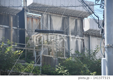 沿線の管理口 141377315