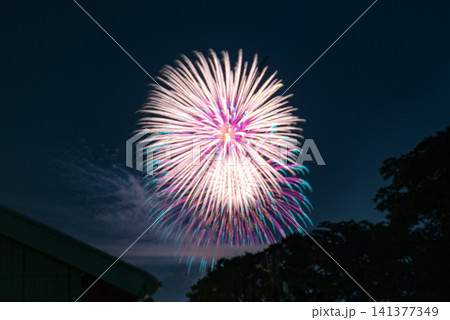 夏の夜空に打ち上がる花火 塩釜港まつり前夜祭花火大会 夏の夜空に打ち上がる花火 塩釜港まつり前夜祭花火大会 141377349