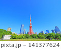 東京都港区、東京タワーと新緑の風景 東京都港区、東京タワーと新緑の風景 141377624