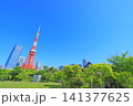 東京都港区、東京タワーと新緑の風景 東京都港区、東京タワーと新緑の風景 141377625