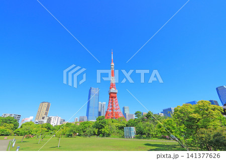 東京都港区、東京タワーと新緑の風景 東京都港区、東京タワーと新緑の風景 141377626