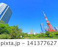 東京都港区、東京タワーと新緑の風景 東京都港区、東京タワーと新緑の風景 141377627