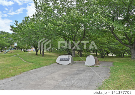 岩槻散歩:南平野公園 南平野調整池 岩槻散歩:南平野公園 南平野調整池 141377705