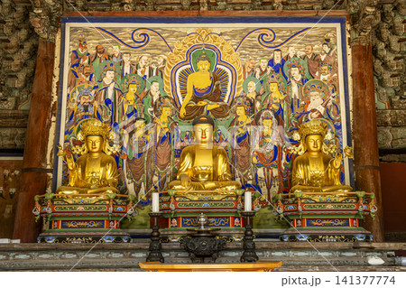 Buddha statue in Daeungbojeon Hall of Naesosa Temple Buddha statue in Daeungbojeon Hall of Naesosa Temple 141377774