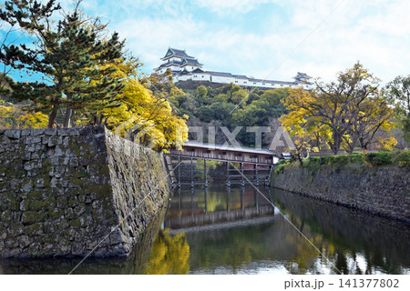 秋の和歌山城 秋の和歌山城 141377802