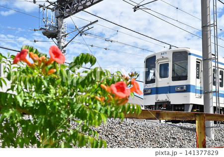 鉄道 私鉄:東武アーバンパークライン 8000系 鉄道 私鉄:東武アーバンパークライン 8000系 141377829